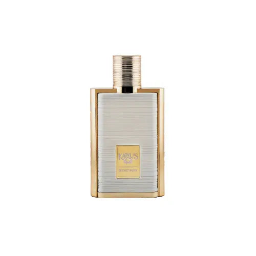 Secret Musk 100ML